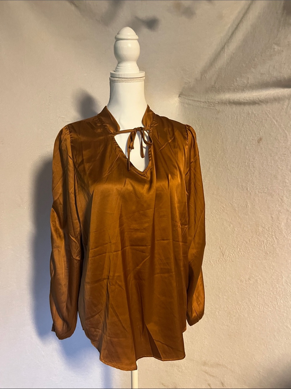 paparazzi Satin Tie-Neck Blouse in Rust